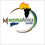 Mwema Africa Safaris offers the best travel in Kenya , Tanzania , Uganda and Rwanda, you experience the great african wildlife, culture and fauna